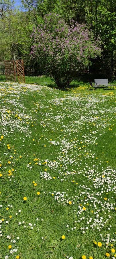 Homestay Dom Goscinny Grzeda Jelenia Gora